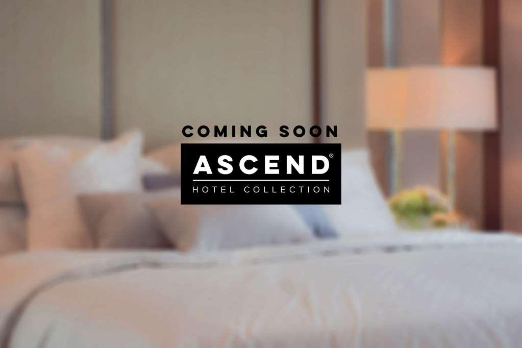 Mayfair Hotel, Ascend Hotel Collection New York Ngoại thất bức ảnh